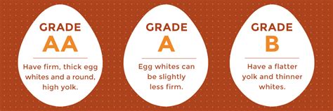 egga are graded for quality by a system called